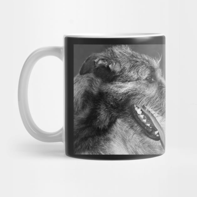 Irish Wolfhound Portrait by LaurieMinor